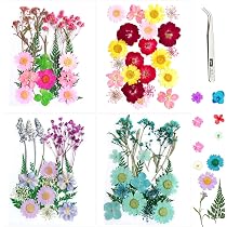 VEGCOO - 110 Fleurs Séchées Naturelles Pour DIY - Résine, Bijoux, Décoration - Avec Pince à épiler