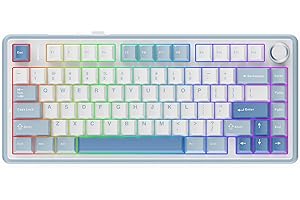 EPOMAKER x Aula F75 Clavier Mécanique Gasket à 75%, sans Fil/BT/USB-C, avec Cinq Couches de Coussinets, Bouton, RVB, Batterie, NKRO,QWERTY(Sea Salt Blue, IceVein Switch)
