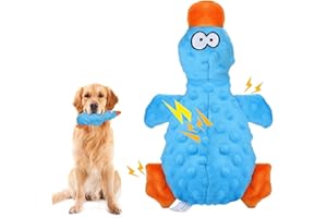 RAYITO Duck Dog Toys - Squeaky Interactive Dog Toy with Crinkle Paper for Small to Large Dogs - Blue