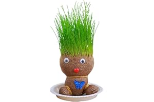 LEMBRD Grow Your Own Kits - Grass Head Doll Plant - Grass Heads for Kids to Grow - Perfect Cute and Funny for Men Women Kids - Fresh Grass Plant for Home and Garden Decoration