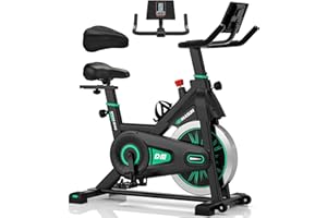 DMASUN Bicicleta Estática en Casa con Resistencia Ajustable, Bicicleta Spinning Silenciosa con Monitor LCD, Cómodo Cojín de Asiento, Capacidad de 160 kg(Funda Sillin Bicicleta Estatica Incluida)