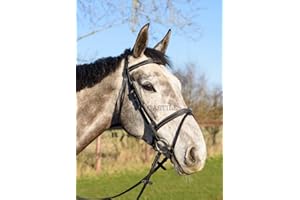 Astile Equestrian Leather Comfort Horse Bridle With Flash Noseband Hand Stitched Design Black Brown (FULL, BLACK)