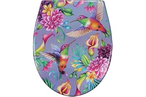 Fanmitrk Duroplast Toilet Seat Soft Close -Quick Release Toilet Lid with Top Fixing,Various Patterns to Choose from (UF819-55)