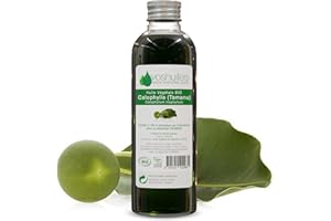 VOSHUILES.COM HUILES ESSENTIELLES & VEGETALES VOSHUILES - Huile Végétale de Calophylle COSMOS Noix et Épicé 100ml - Soin Cosmétique Naturel pour Peau et Cheveux - Hydratation et Réparation - 100% Pur et BIO