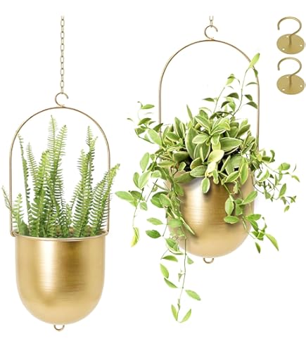 Conch Hanging Air Plant Pot Decor, Set van 5 Hangende Plantenbakken Zee-egel Shell Mini Plantenbakken Decor voor Huisdecoratie (4-delige set
