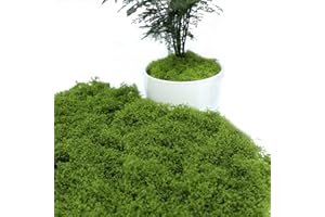 IUHRIE 205g Moos Zum Basteln Deko, Kunstmoos,KüNstliches Fliegenpilz,Islandmoos,Krippe Terrarium,Moss kaufen Bastelmoos Natur,Dekorieren,Kunst Fake Dekomoos für Wand Krippen Aquarium Modellbau,Moosplatten