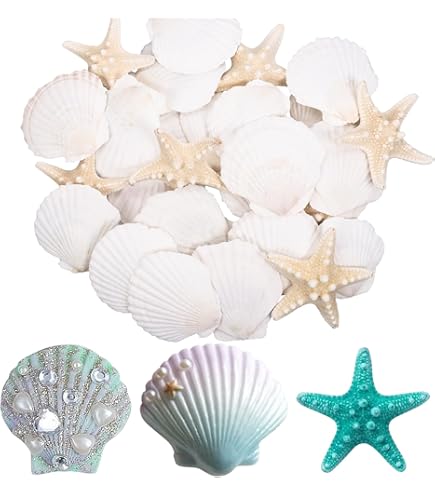 Widream 15 pcs Hars Schelp Decoratie, Zeemeermin Staart Ornament, Ambachtelijke Zeester, voor Landschapsaquarium, Kamerdecoratie, Bruiloft, Ketting DIY-Ambachten Widream 15 pcs Hars Schelp Decoratie, Zeemeermin Staart Ornament, Ambachtelijke Zeester, voor Landschapsaquarium, Kamerdecoratie, Bruiloft, Ketting DIY-Ambachten