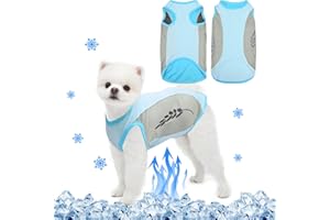JODSEN Hundekühlweste,Sommer Cool und Bequem Hundemantel Atmungsaktiv Mesh Hundejacke mit Reflektorstreifen,Leichte Hunde-Eis-Kühlung T-Shirts für kleine bis mittelgroße Hunde (M, Blau)