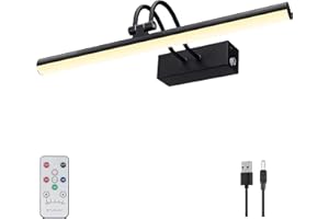 RAIFOOLLY Picture Light, 13in Battery Operated Picture Lights for Paintings,Metal Remote Display Art Light with Timer and Dimmable for Wall Painting,Frame, Portrait, Dartboard(Black), RF00290