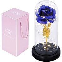 Ewige Rosen, Rose im Glas mit Licht, Schönheit und das Biest Rose Kit, Rose Geschenk und LED-Licht in Glaskuppel auf…