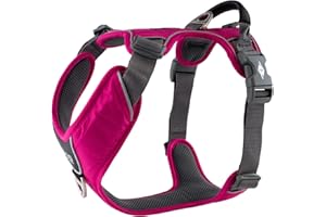 DOG Copenhagen Hundegeschirr V2 Comfort Walk (Pro) Wild Rose Talla M