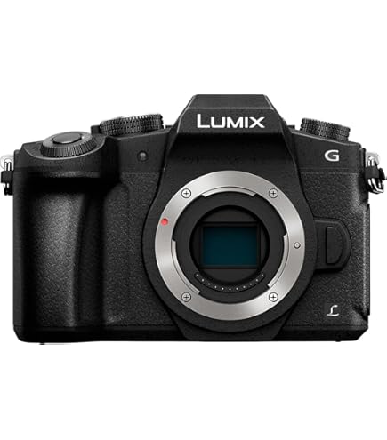 Panasonic LUMIX G Vario 14-42 mm OEM H-FS014042 Schwarz