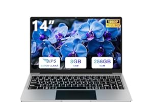 bvate PC Portatile 14 Pollici Computer Portatile 8GB RAM 256GB SSD RPM 600 Notebook Celeron Fino a 2.8Ghz Laptop Win 11 con Mouse Wireless & Adesivi per Tastiera Italiana-Argento