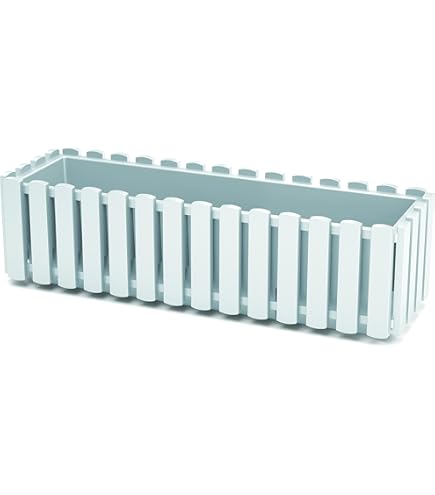Knop ovaal ijzer blank gelakt 41 x 25 mm | Online Deurbeslagshop