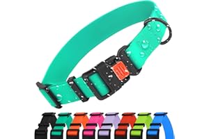 CollarDirect Collier Chien Imperméable Ajustable – Silicone & Plastique, Anti-Odeur, Facile à Nettoyer, Boucle Sécurité – pour Petits, Moyens et Grands Chiens