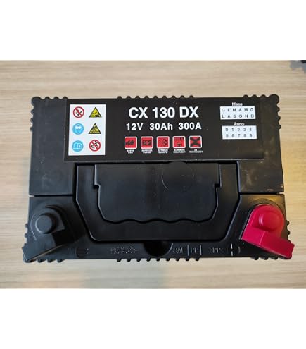 Batteria Gel 12V 21Ah Per Trattorino Rasaerba – Tecnologia GEL, Doppia Durata, 250A EN, Senza Manutenzione, Precaricata