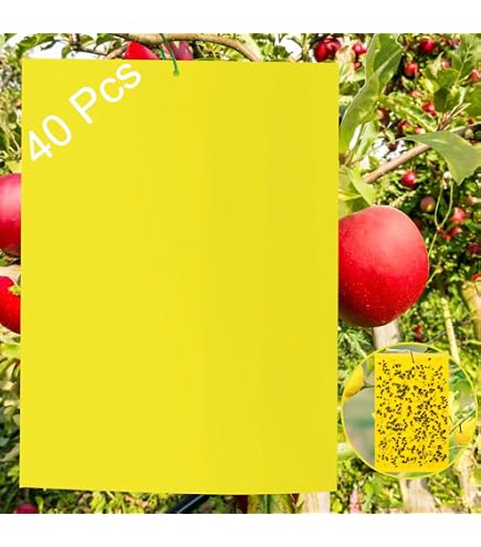Lot De 20 Pièges Jaunes Adhésifs Double Face 15x20cm - Pièges à Insectes Volants, Moucherons, Aleurodes, Moustiques Pour Plantes, Jardin, Intérieur