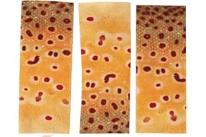 VBESTLIFE Fly Fishing Finger Guard, 3 Pack Fly Line Stripping Guard Finger Protector with Fish Skin Pattern for Fishing Tool Accessory