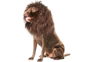 Onmygogo Parrucca da criniera di leone per cani con orecchie, divertente costume per animali domestici, per Halloween e Natale (L, caffè)