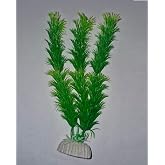 PB10 Plastik Akvaryum Bitkisi 20 cm
