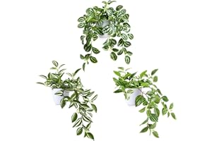 SOGUYI Pianta Finta Cadente 38cm Piante Finte da Interno Esterno con Vaso Plastica Pianta Artificiale per Decorazioni Balconi Casa Ufficio Scrivania Cucina Moderna Design(3 Pezzi)