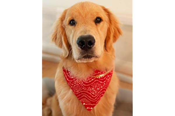 For The Fur Kids Traditional Dog Bandana for Festivals & Weddings Adjustable Festive Pet Scarf with Gota for All Breeds (Red)