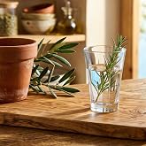 LAV Trojan 6-Piece Coffee Side Water Glass