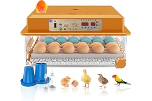 Hethya Incubadora Huevos Gallina, 36 Incubadoras de Huevos Automaticas, Giro Automático de Huevos, Control de Temperatura y Visualización de Humedad Incubadora