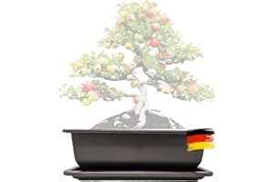 ‎GENKI-BONSAI Genki-Bonsai Pflanzschale 34 x 26 x 9 cm aus Kunststoff – rechteckiger Pflanzkübel mit Untersetzer, frostbeständig, mit Drainagelöchern – für Bonsai, Kräuter, Zimmer- & Balkonpflanzen