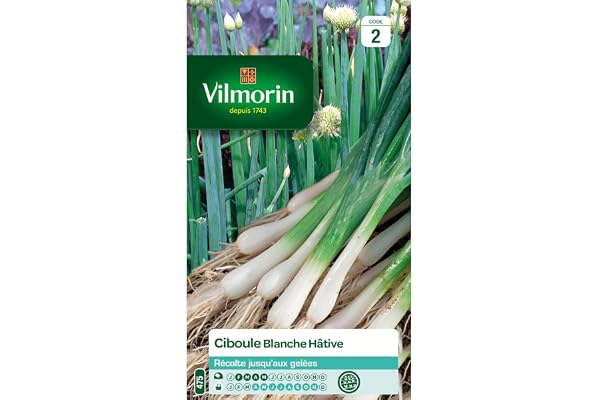 Vilmorin - Sachet graines Ciboule Blanche Hâtive