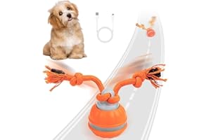HNCY Pallina Interattiva per Cani, Palla Interattiva per Canis con Corda & Canto degli Uccelli, Giochi per Cani Elettrico Pallina Canis per Cuccioli, Piccoli e Medi, Ricaricabile Tramite USB (Arancione)