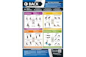 POSTERFIT Back Exercise | Full Workout Improves Strength Training | Laminated Gym and Home Poster | Includes Online Video Training Support | Size - 594mm x 420mm (A2) | Improves Personal Fitness