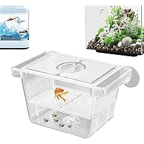 Fischzuchtbecken - Schwimmende Brutbox Für Babyfische & Verletzte Fische