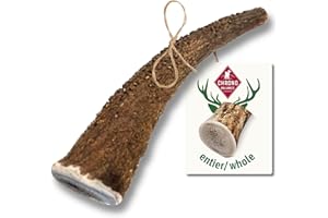 ChronoBalance-S Bois de Cerf pour Chiens, 100% Naturel, Pièces Entières, Os à Mâcher, Jouet pour Chiens, Soin Dentaire, Riche en Minéraux et Nutriments, Longue Durée, Lot de 1