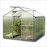 GFP Viola Gewächshaus aus Aluminium wahlweise mit Fundament - 222x223 cm, formstabil und witterungsbeständig auch bei Hagel m