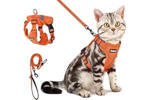 PetBonus Katzengeschirr mit Leine Ausbruchsicher,Verstellbares Katzenleine mit Geschirr für Katzen,Atmungsaktive und Weich Katzengeschirr Kleine katze mit Reflexstreifen für Katzen Kitten (Orange, XS)