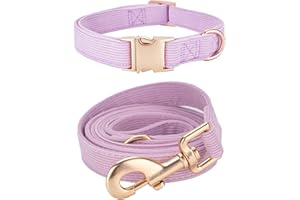 YUDOTE Set di Collare e Guinzaglio per Cani Piccolo, Morbido Collare e Guinzaglio in Corduroy Non Irritante Combinazione Abbinata per Passeggiate Quotidiane, Viola