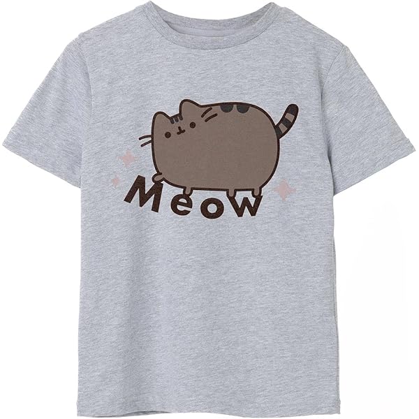 Sweat-shirt Pusheen Gris Fille - Pull Manches Longues Graphique Chat Kawaii, Confortable