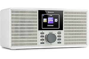 auna IR-260 - Internet Radio, Sound Stereo, Radio Dab per Casa, DAB+ & FM, Mediaplayer: Spotify Connect, Bluetooth, USB, UPnP/DLNA, HCC Display da 2,8", File Supportati: WMA/MP3, Line-Out, Bianco