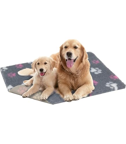 Lettini E Cuscini Per Cani | Cuccette Morbide | Paluplus - Foto 9