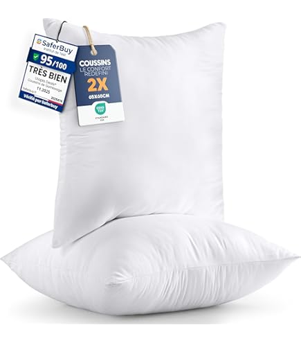 Oreiller Intérieur 45x55 Cm, Plumes, Blanc, 650g - Fabriqué En Allemagne