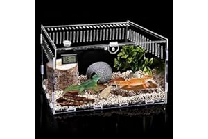 PORFOYO Terrarium en acrylique pour terrarium escargots, avec température hygromètre, boîte d'alimentation transparente pour reptiles, 30 x 20 x 15 cm, mini terrarium pour reptiles, escargots, araignées
