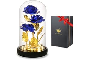 DREAM OF FLOWERS Cadeau fête des mères Rose Eternelle sous Cloche, La Belle et la Bête Rose en Verre avec Lumières LED Pine Base pour Fête des Mères Saint Valentin Décorations Anniversaire Mariage Maison (Bleu)