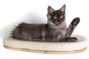 RHRQuality Wandmöbel Kletterwand Katze – Luxuriöses Katzenbett 50 cm – Tragkraft bis zu 20 kg – Für große Katzen – Mit herausnehmbarem Kissen – Crème