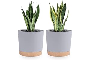 QCQHDU 20cm Plant Pot, 2 Pack Planters for Indoor Plants with Drainage Holes & Saucer, Outdoor Flower Pots Home Garden Modern Decor (Light Grey, 20cm)