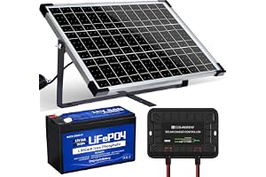 ECO-WORTHY 25W 12V off-grid Solpanelsats med Litiumbatteri: 25W Solmodul + Batteriklämma Kabel + 10A Laddningsregulator + 8ah LiFePO4 Batteri för Hönshus bil Husbil Camping Utomhus