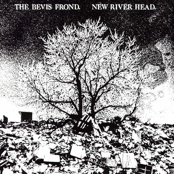 Vavona Burr [VINYL] by Bevis Frond: Amazon.co.uk: CDs & Vinyl