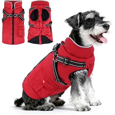 Amazon.de Bestseller: Die beliebtesten Artikel in Winterjacken &  Wintermntel fr Hunde