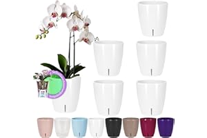 ‎SANTINO Santino 6er-Set Selbstbewässernder Topf mit Dochtsystem und Wasserstandsanzeige für den Innenbereich, Orchideentopf D 15cm (White - 2L)