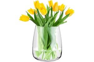 ‎TREND FOR HOME TREND FOR HOME Glasvase groß H: 22,7 cm Vase für Pampasgras Glas, Blumenvase für Pampasgras, Vasen Glas für Hochzeitstulpen Weite Öffnung, Ø 19 cm, Zinnie